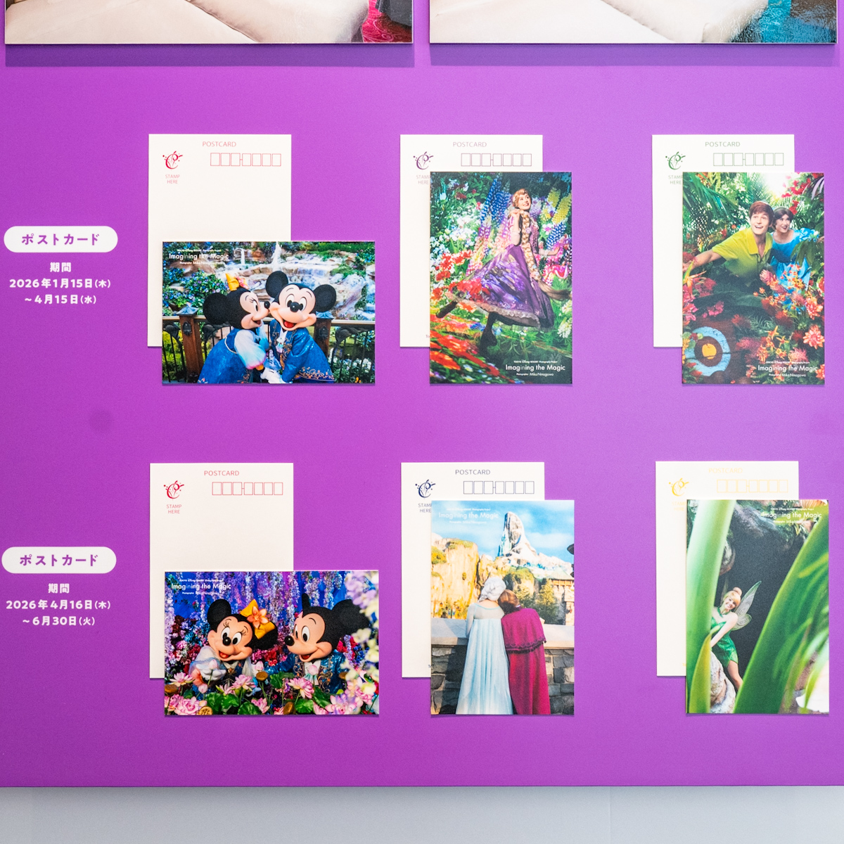 東京ディズニーリゾート・フォトグラフィープロジェクト「イマジニング・ザ・マジック」写真展　東京ディズニーセレブレーションホテル　客室　ポストカード