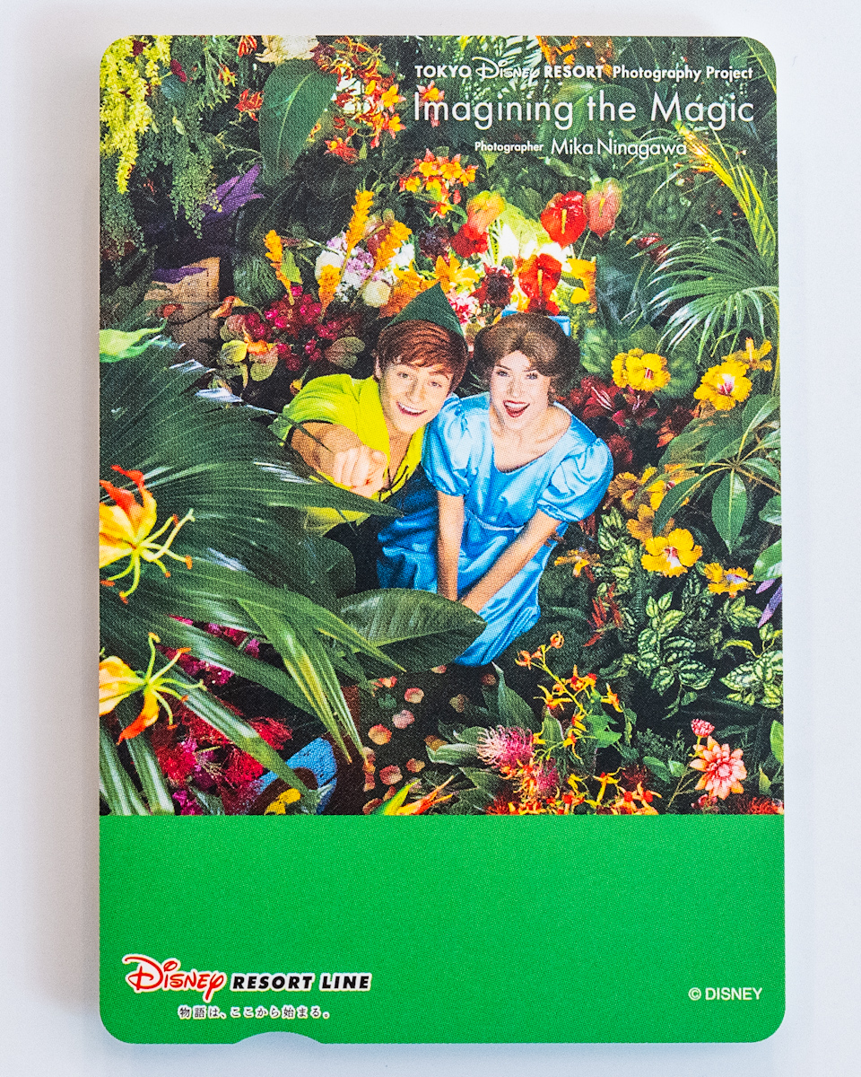 東京ディズニーリゾート・フォトグラフィープロジェクト「イマジニング・ザ・マジック」写真展　フリーきっぷ　ピーターパンとウェンディ