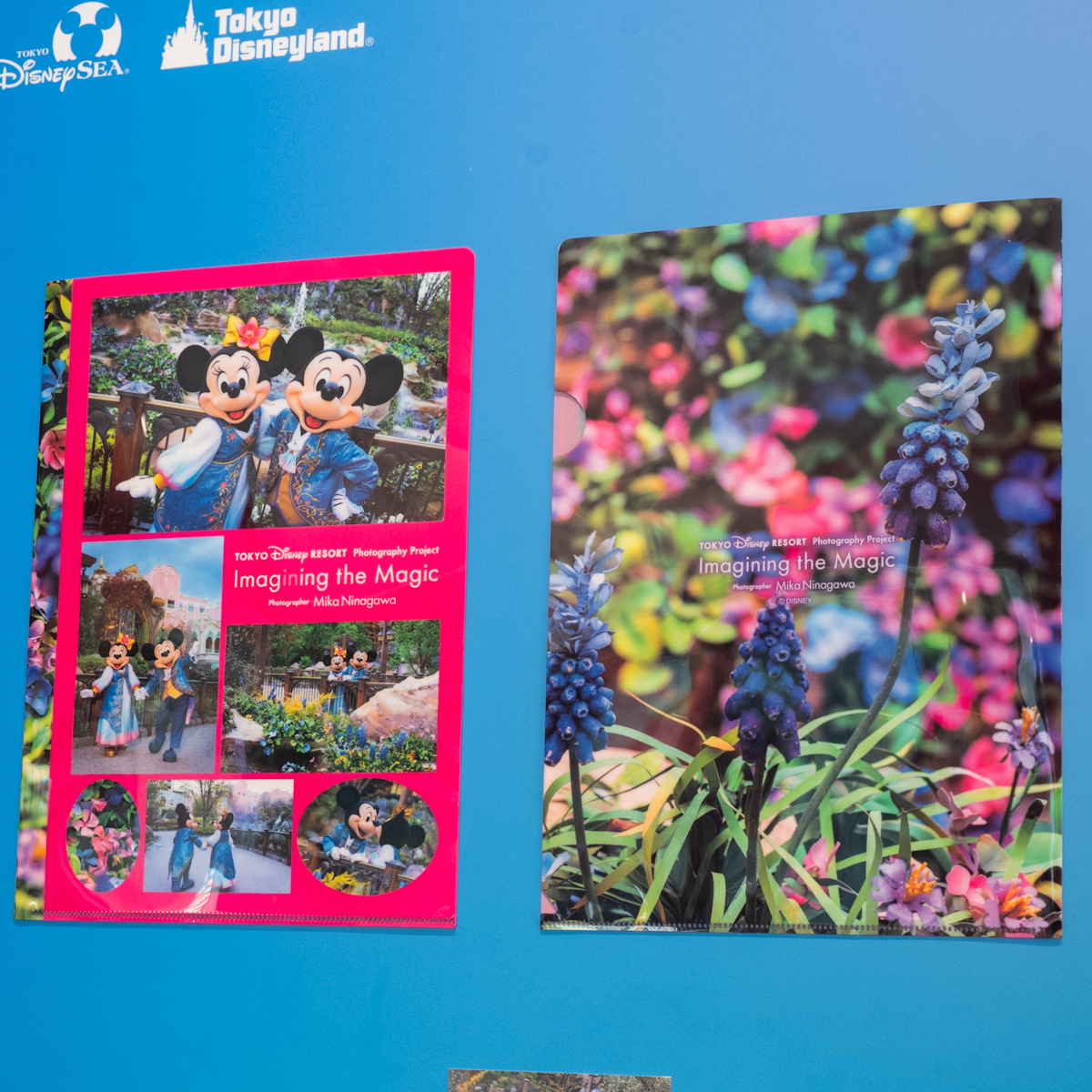 クリアホルダー&ポストカード