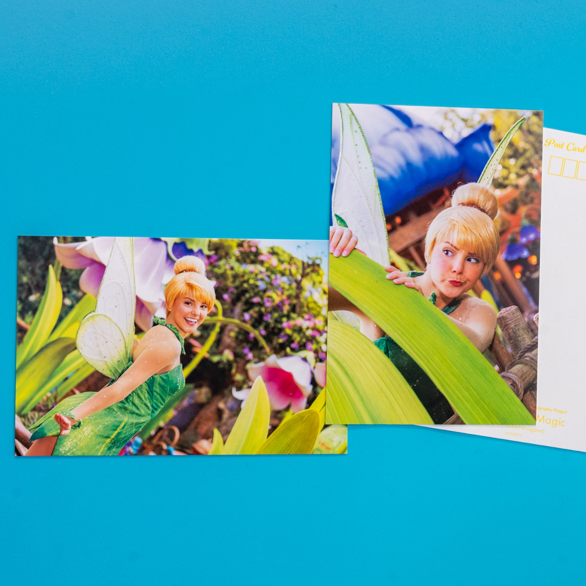 ティンカーベルポストカードセット