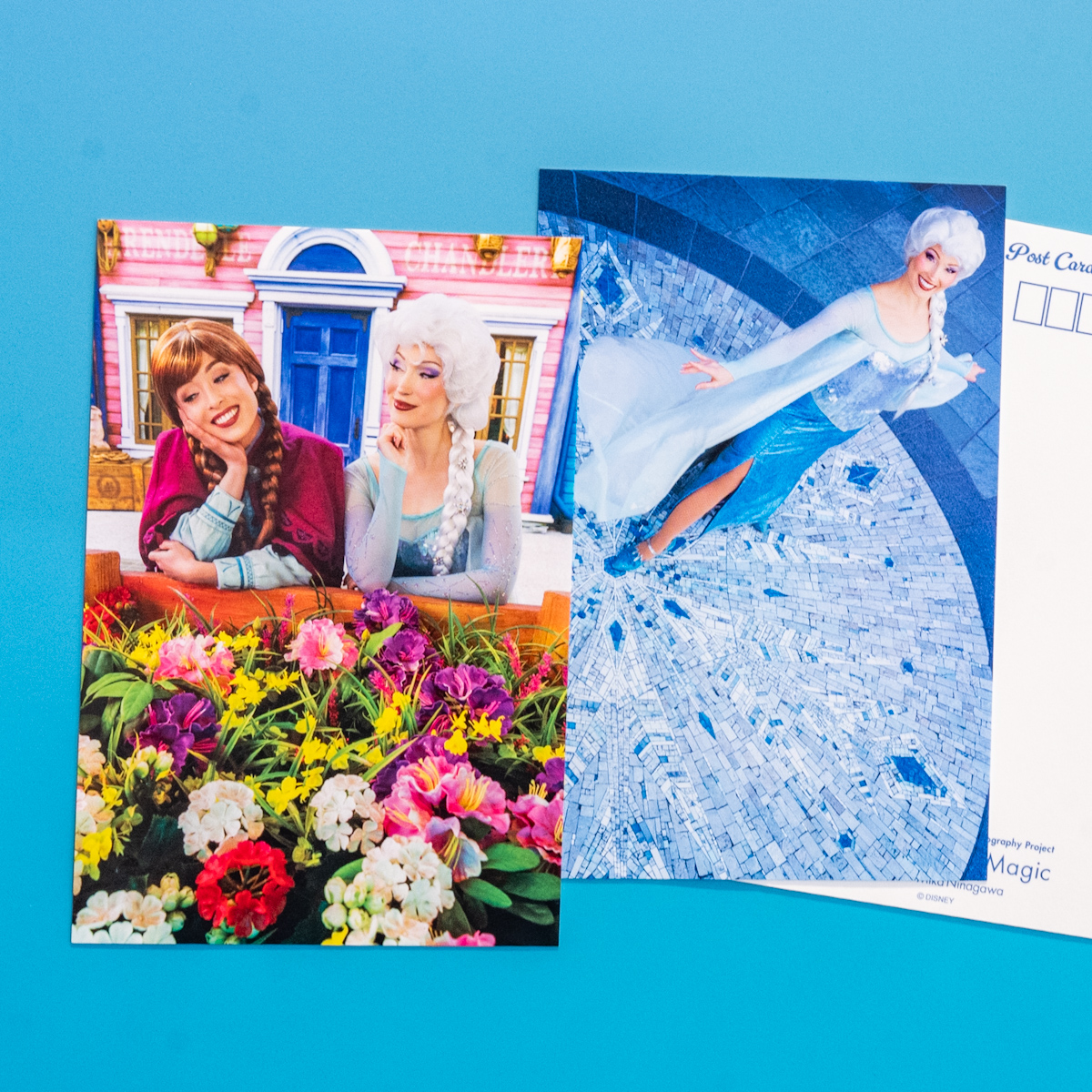 アナとエルサポストカードセット