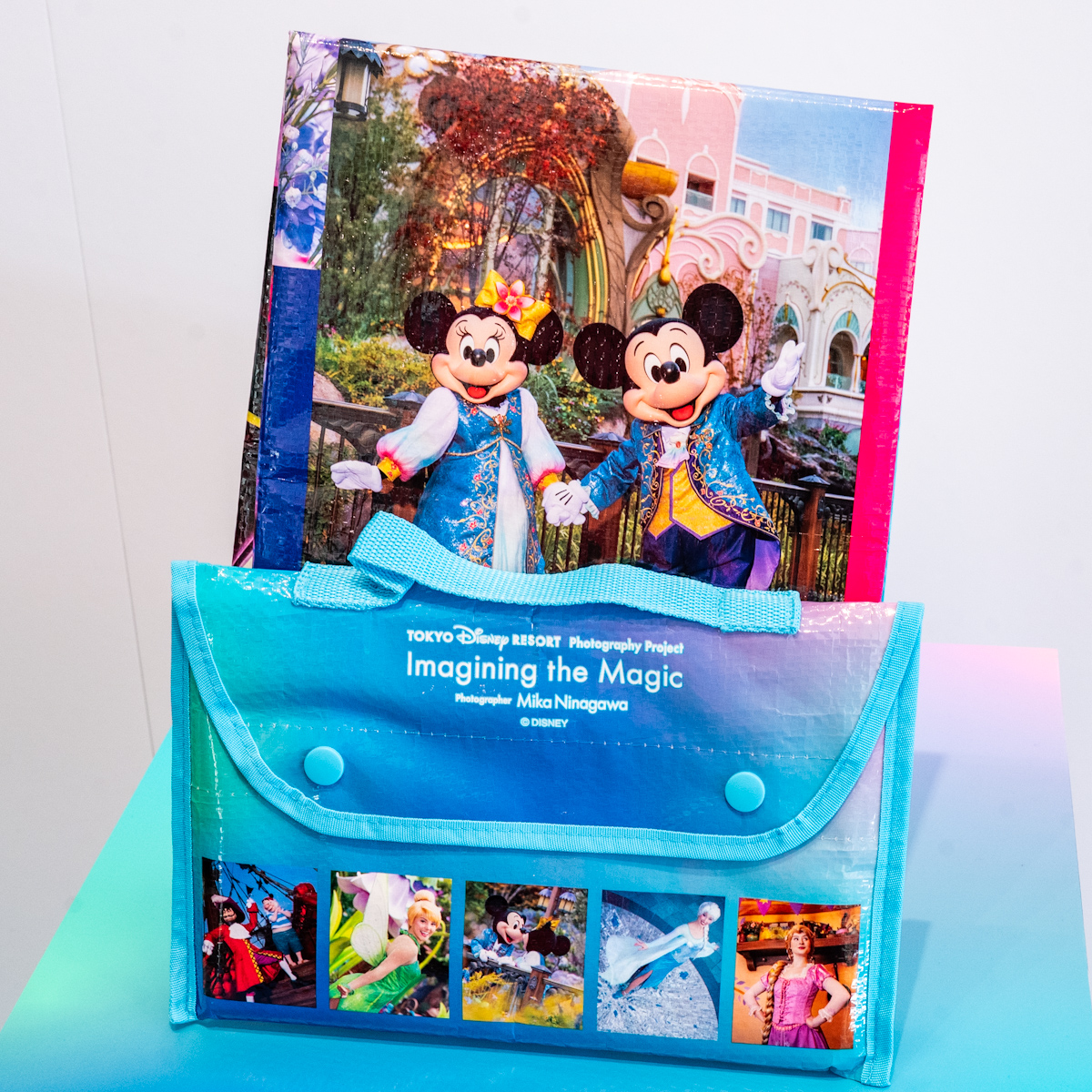 レジャーシート