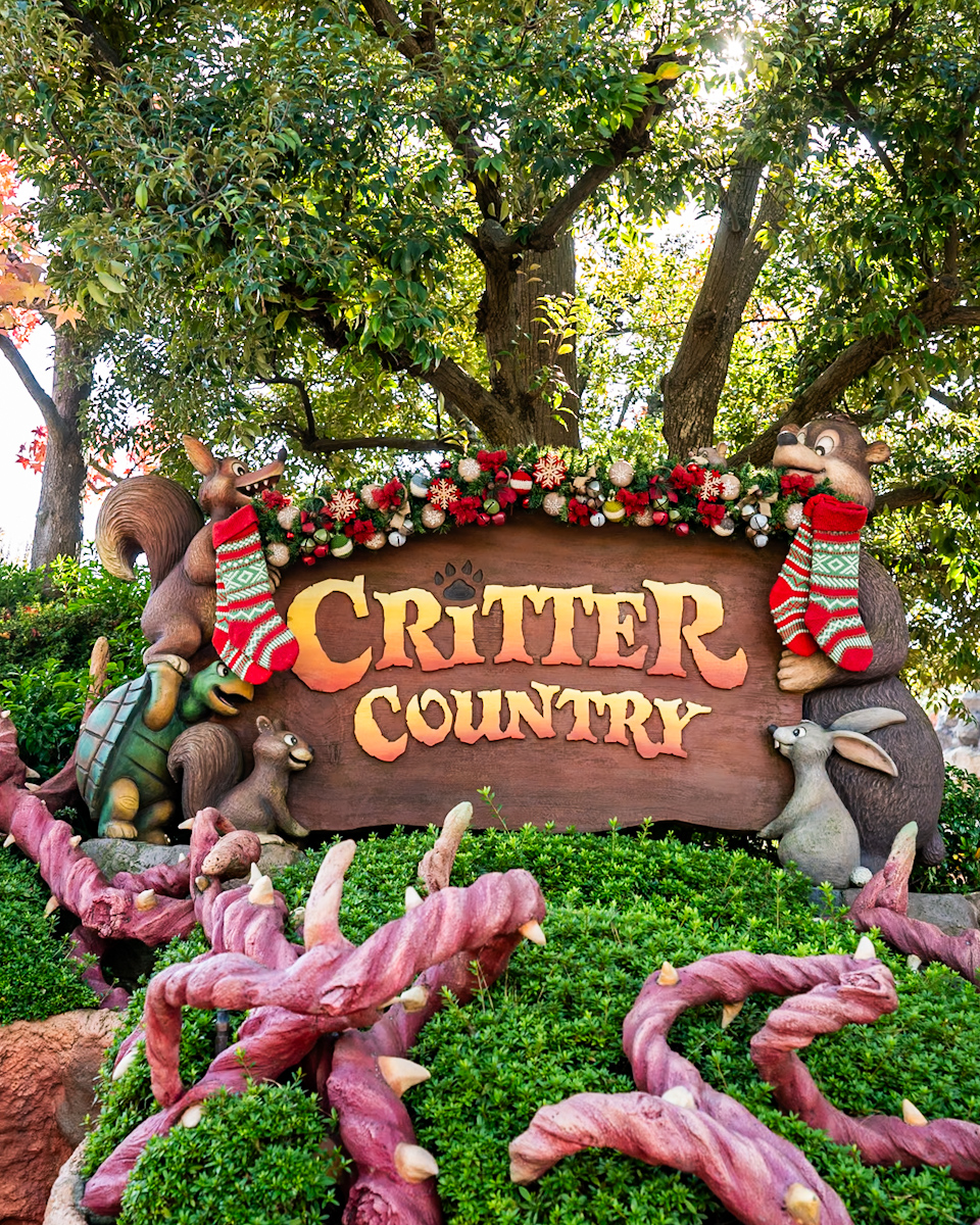 東京ディズニーランド　クリッターカントリー　クリスマスデコレーション