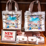 東京ディズニーシー・ファンタジースプリングスホテルグッズ・お土産（トートバッグ・パスケース）