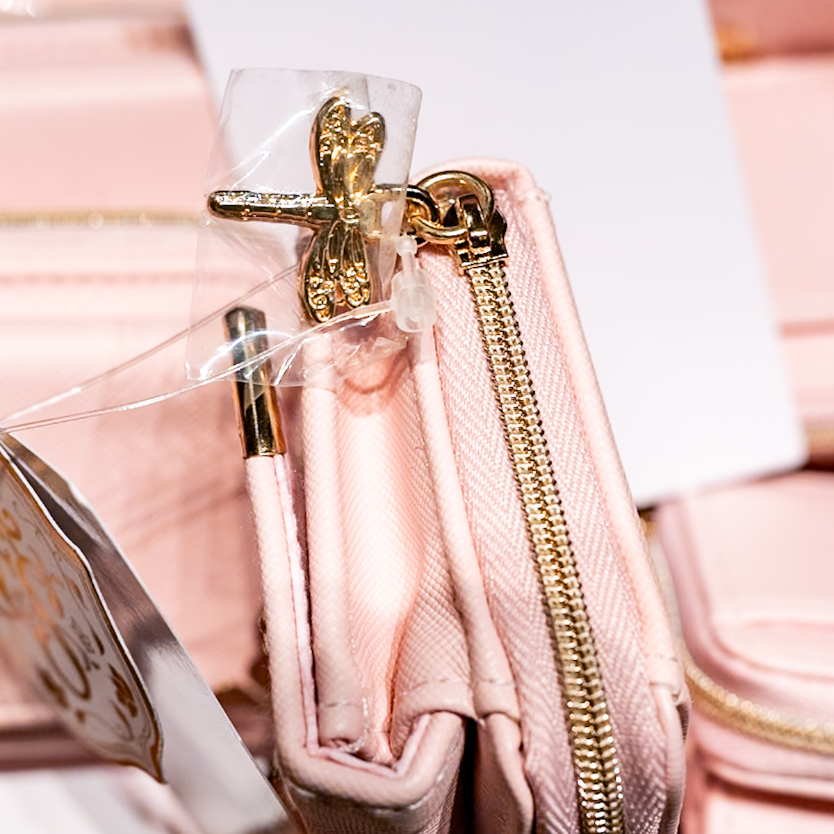 新テーマポート「ファンタジースプリングス」のストーリーの核となる魔法の泉を囲むようにそびえ立つ国内6番目のディズニーホテル「東京ディズニーシー・ファンタジースプリングスホテル」パスケース　リベリュール（トンボ）