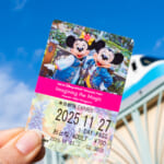 東京ディズニーリゾートライン「イマジニング・ザ・マジック」フリーきっぷ（ミッキー＆ミニー）1