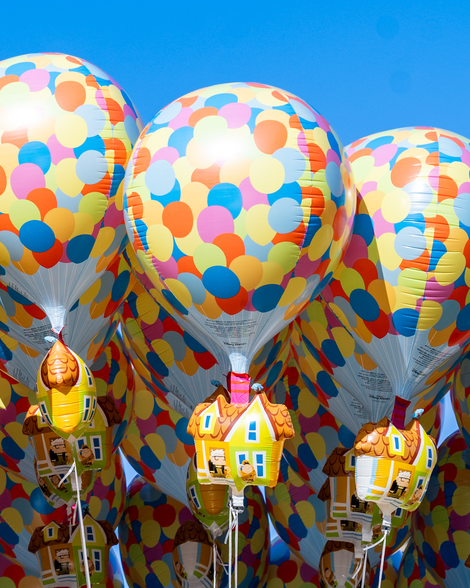東京ディズニーランド『カールじいさんの空飛ぶ家』バルーン