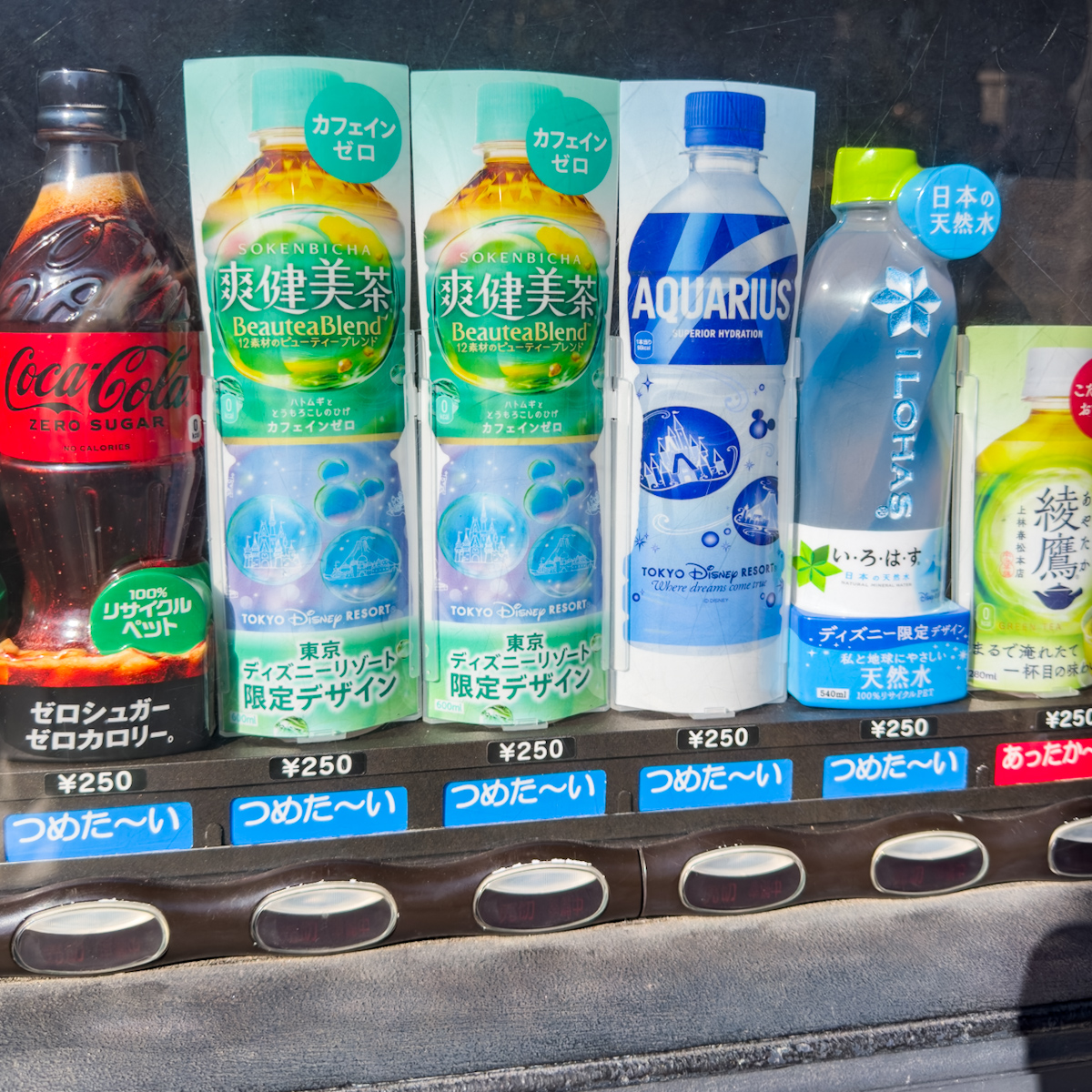 東京ディズニーリゾート 爽健美茶 ペットボトルドリンク