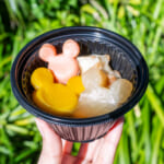 東京ディズニーランド おでん