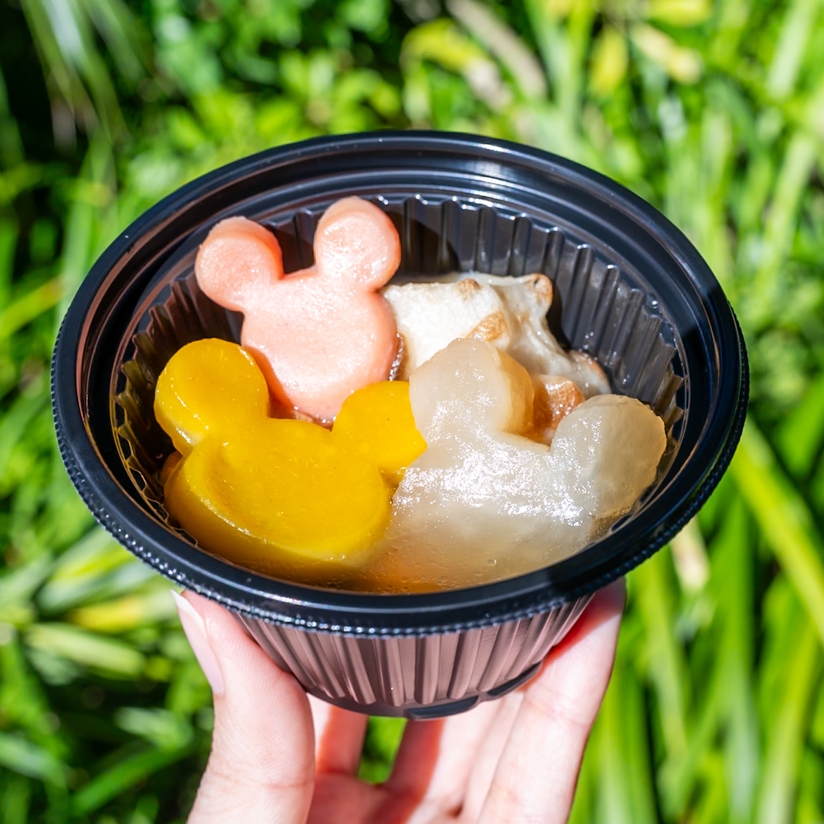 東京ディズニーランド おでん