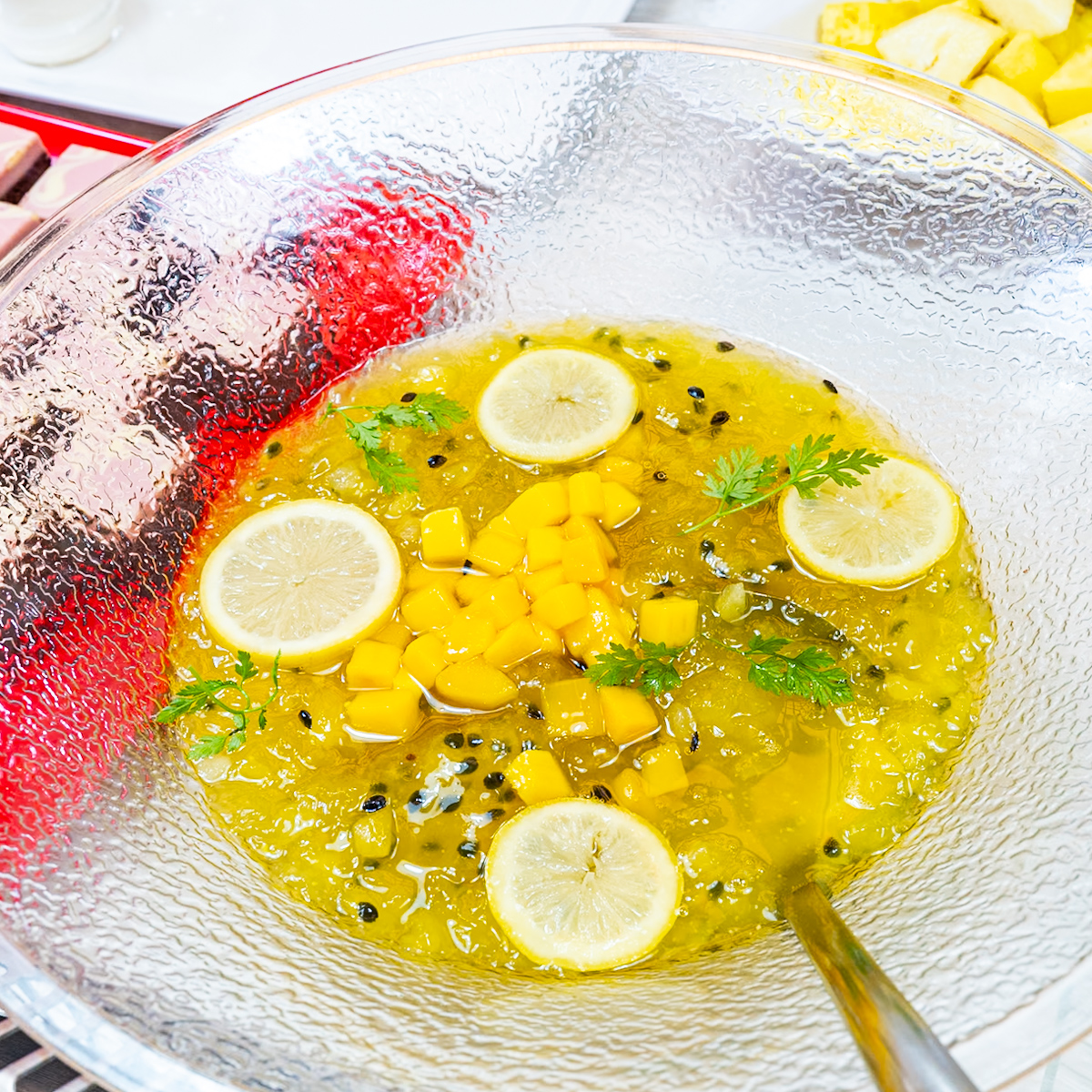 本日のおすすめ