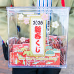 東京ディズニーランド「2026新春くじ