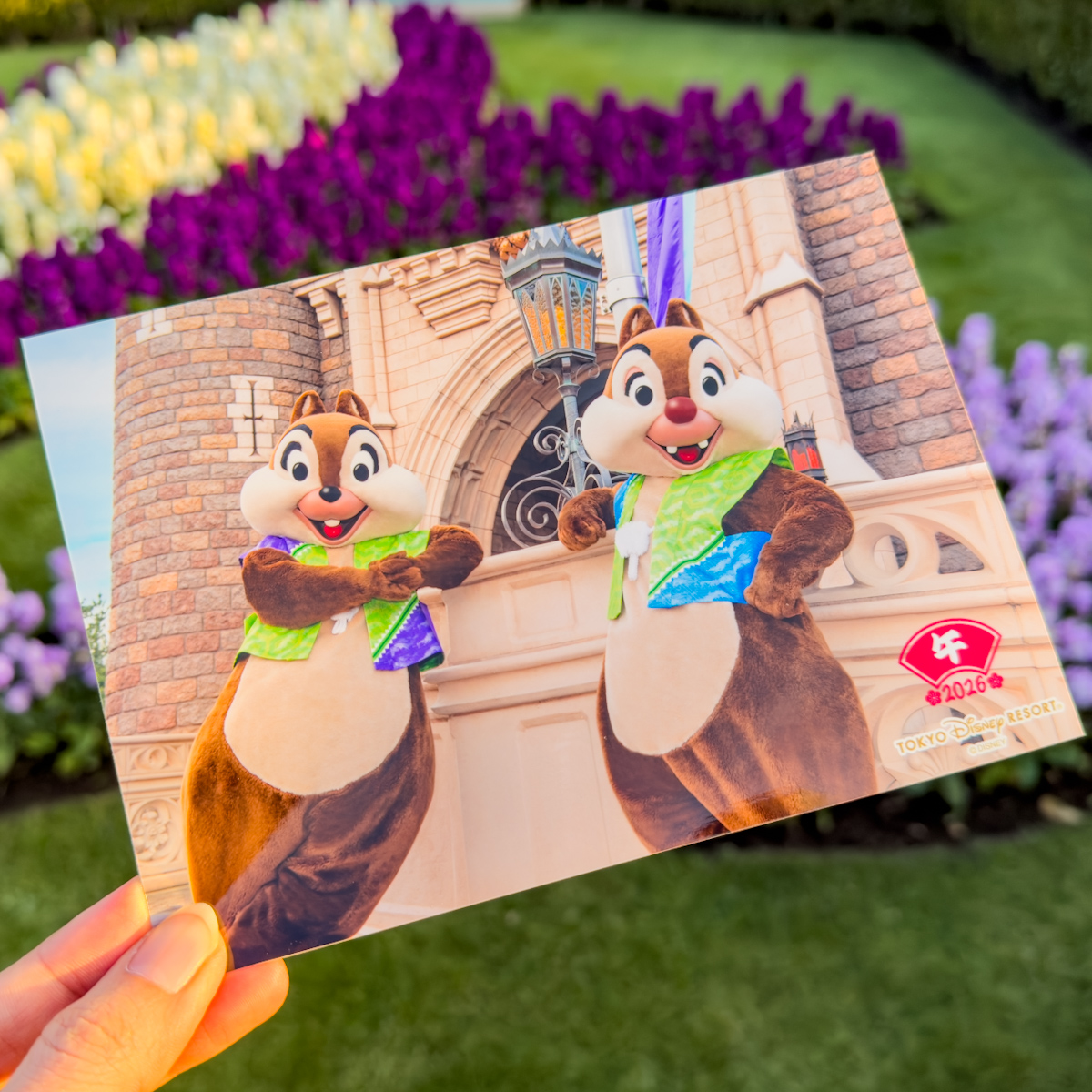 和装チップ&デール写真