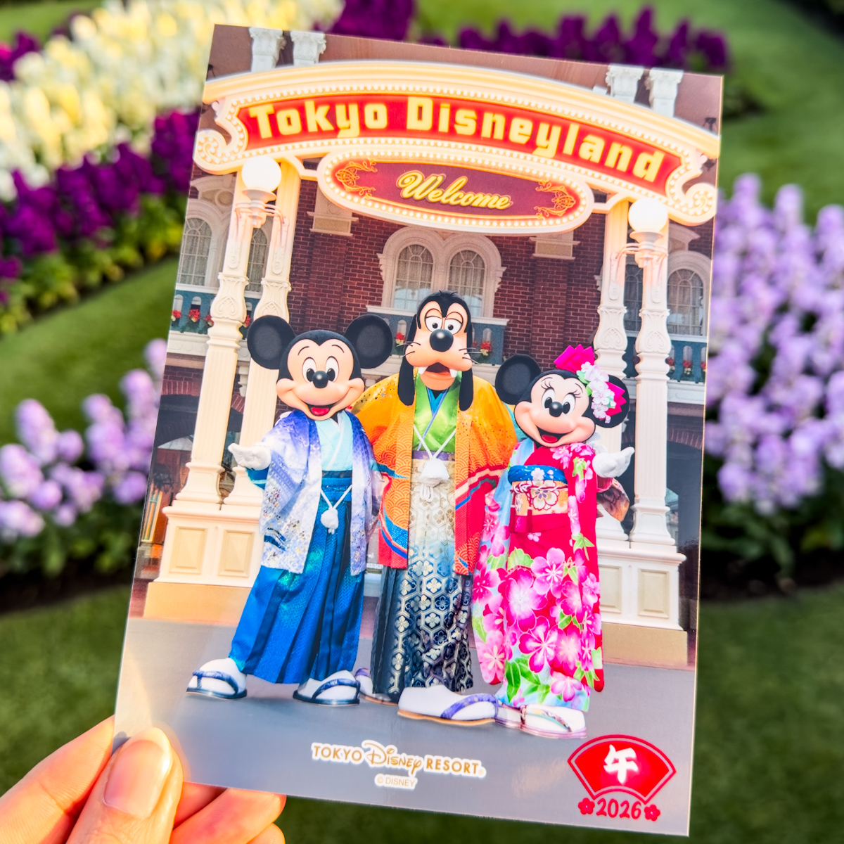 スペシャルフォト　2026お正月