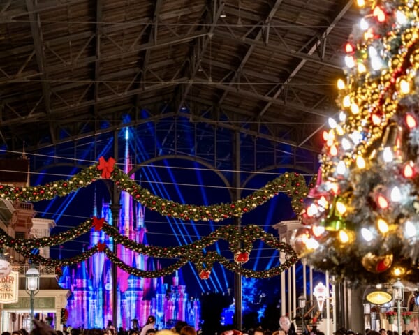 東京ディズニーランド”ディズニー・クリスマス2025”デコレーション　パレードルートバナー　トイズ・ワンダラス・クリスマス　夜3