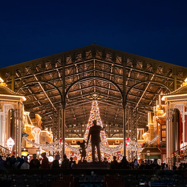 東京ディズニーランド”ディズニー・クリスマス2025”デコレーション　夜