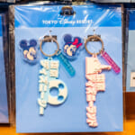 東京ディズニーランド ロゴキーチェーンセット