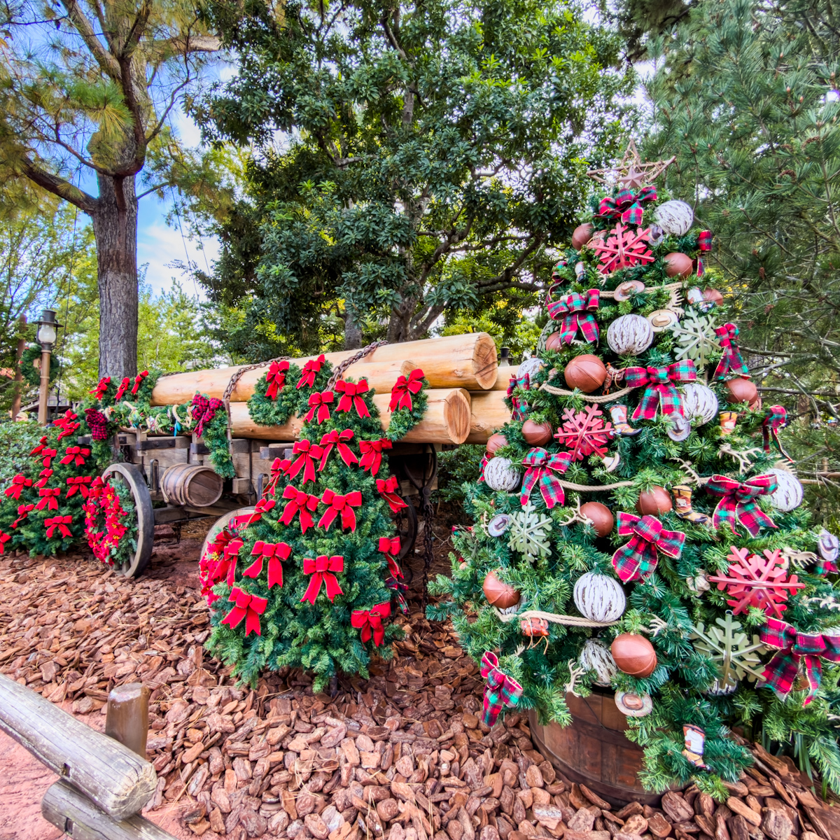 ウエスタンランド　クリスマスツリー