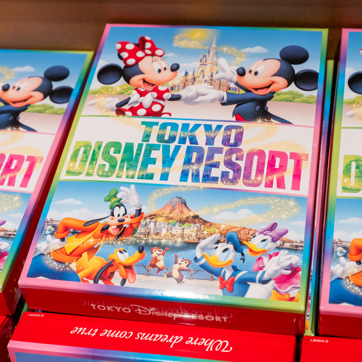 東京ディズニーリゾート チョコレート紙箱・お土産