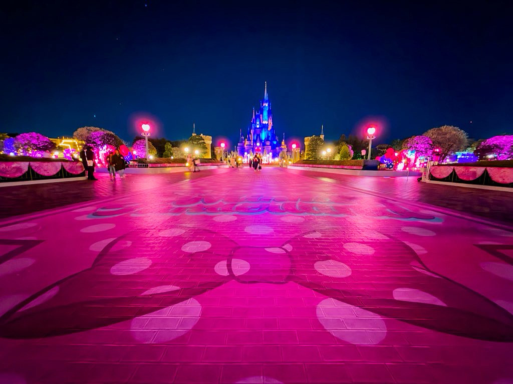 シンデレラ城プラザ床面