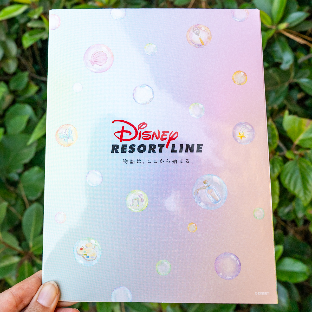 ディズニーリゾートライン「ダッフィー&フレンズ20周年」オリジナル台紙付きスペシャルフリーきっぷ5