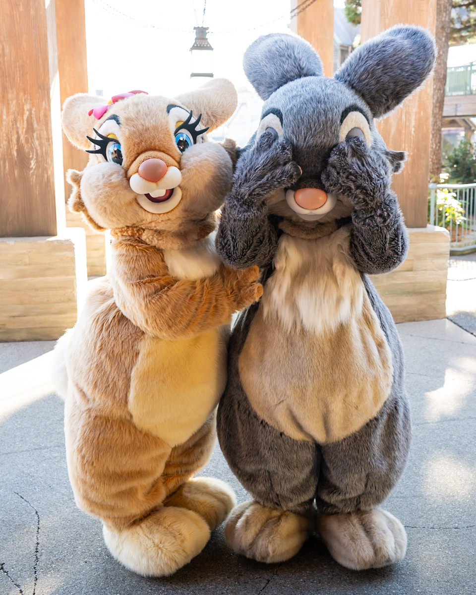 東京ディズニーシー「ケープコッド」『バンビ』とんすけ&ミス・バニーキャラクターグリーティング とんすけ