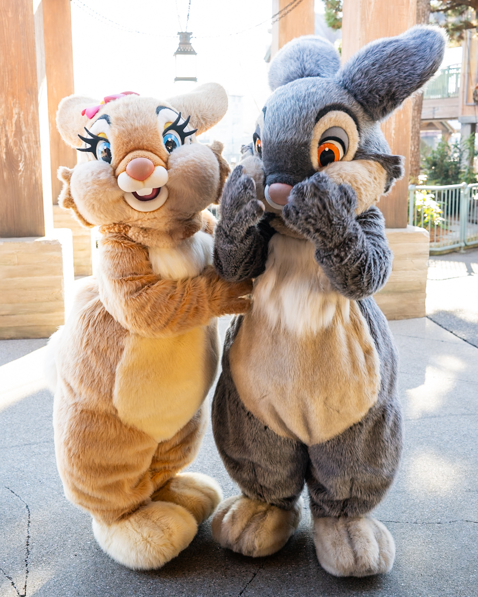 東京ディズニーシー「ケープコッド」『バンビ』とんすけ&ミス・バニーキャラクターグリーティング1