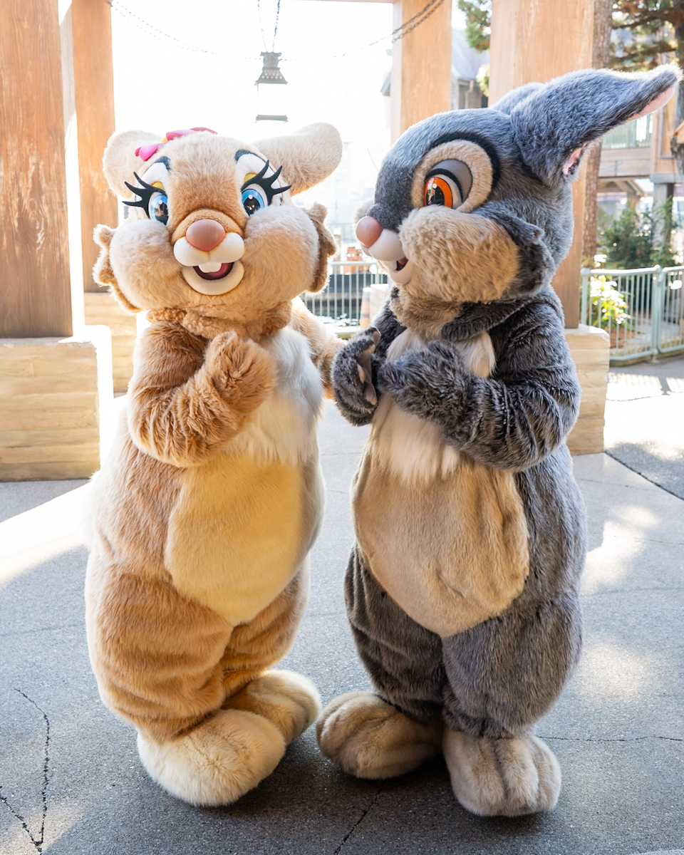 東京ディズニーシー「ケープコッド」『バンビ』とんすけ&ミス・バニーキャラクターグリーティング