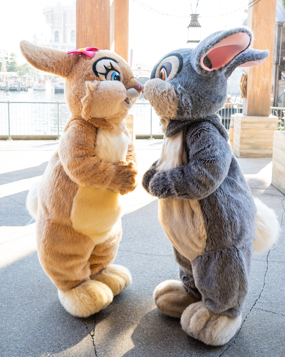 東京ディズニーシー「ケープコッド」『バンビ』とんすけ&ミス・バニーキャラクターグリーティング2
