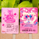 ディズニーリゾートライン「ディズニー・パルパルーザ”ミニーのファンダーランド”」フリーきっぷ