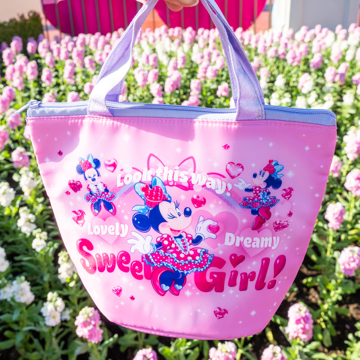 東京ディズニーランド「ディズニー・パルパルーザ“ミニーのファンダーランド”」　スーベニアランチケース1