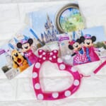東京ディズニーランド「ディズニー・パルパルーザ”ミニーのファンダーランド”」ディズニースナップフォト（台紙付き）