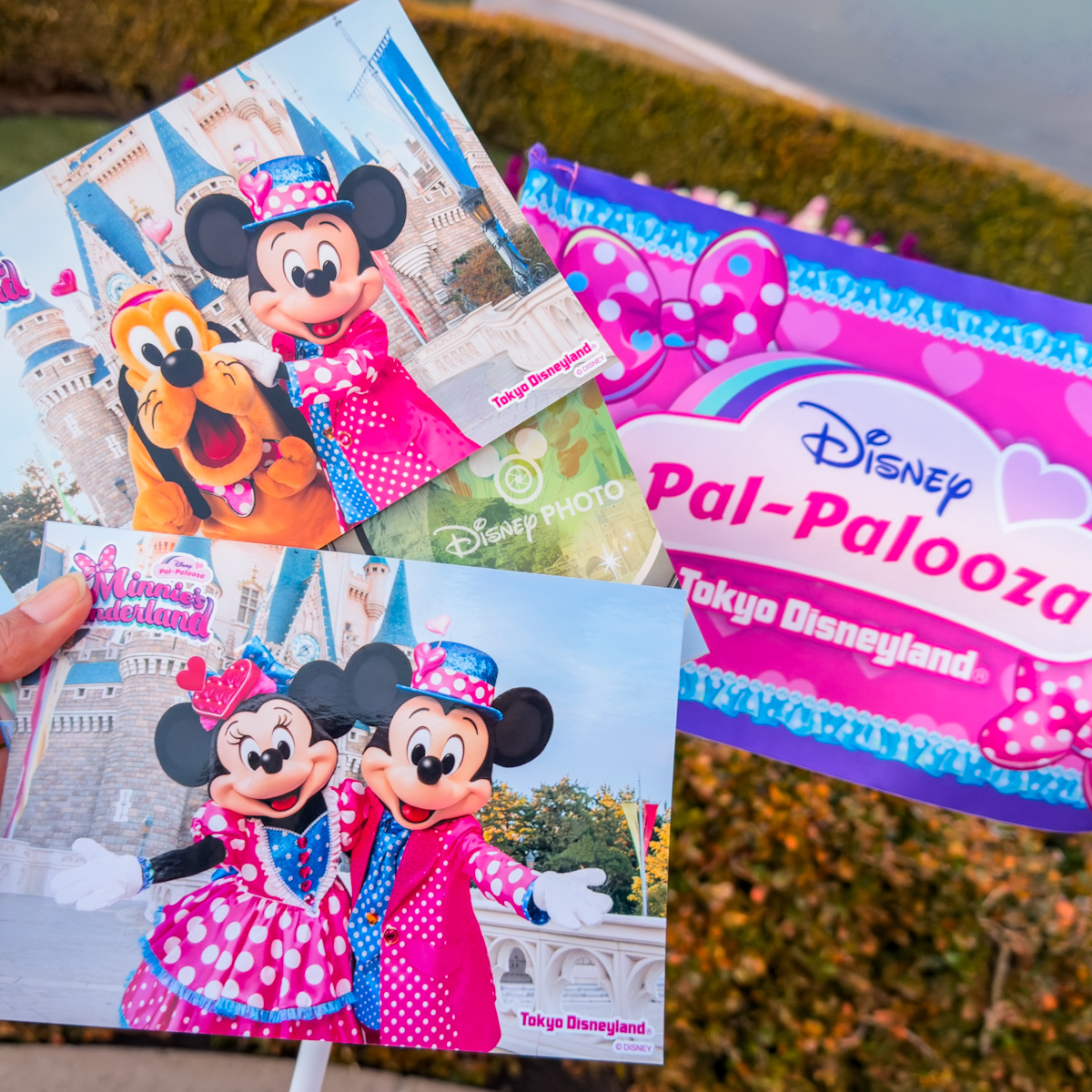 東京ディズニーランド「ディズニー・パルパルーザ”ミニーのファンダーランド”」ディズニースナップフォト(台紙付き)2026