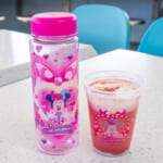 東京ディズニーランド「ディズニー・パルパルーザ“ミニーのファンダーランド”」　スーベニアドリンクボトル