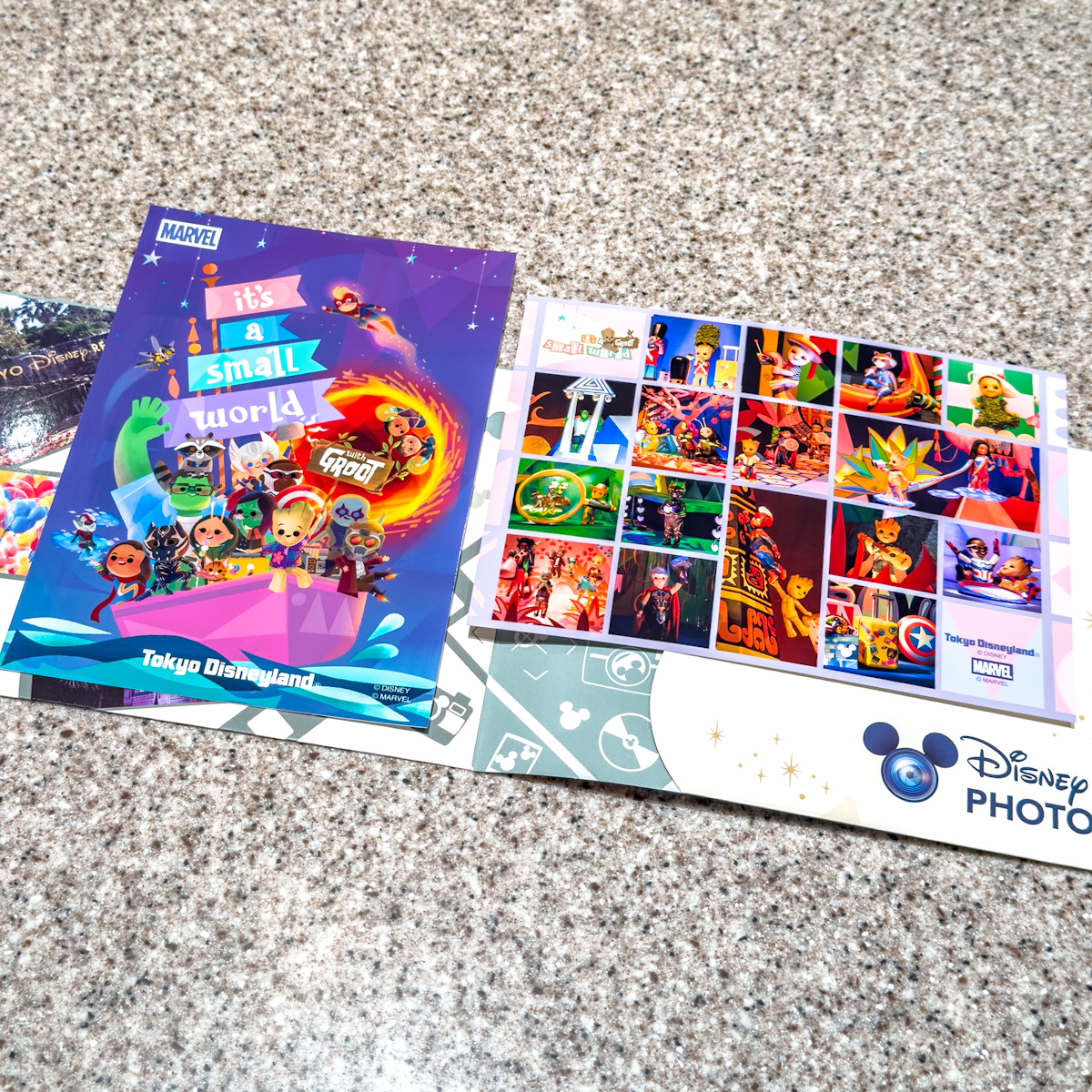 東京ディズニーランド「イッツ・ア・スモールワールドwith グルート」ディズニースナップフォト（台紙付き）