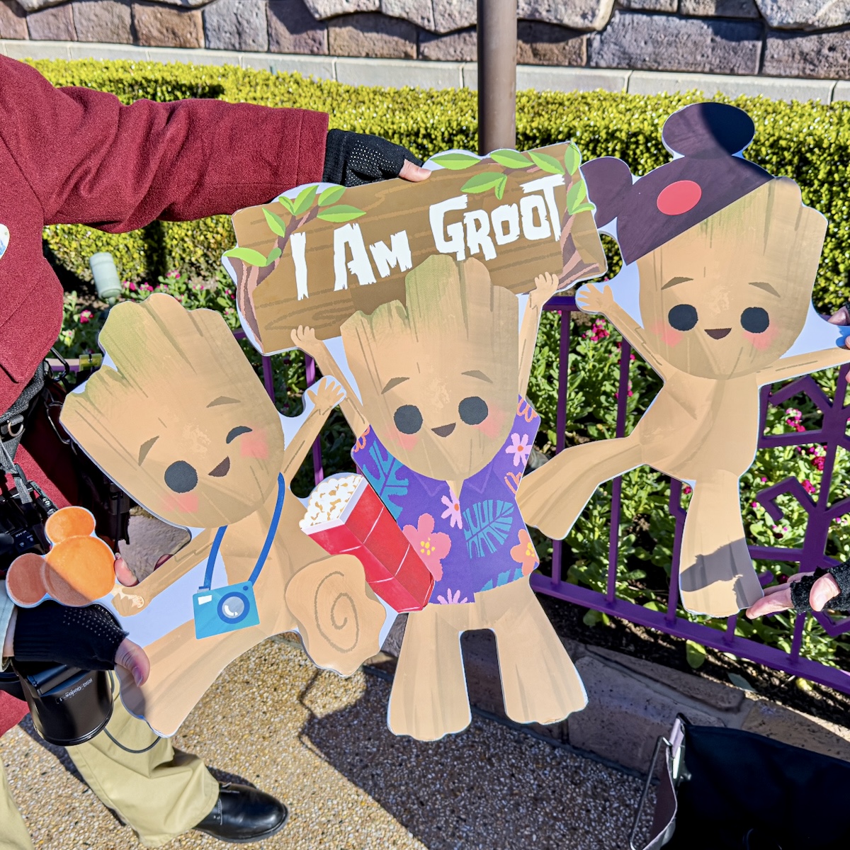 グルートのフォトプロップス