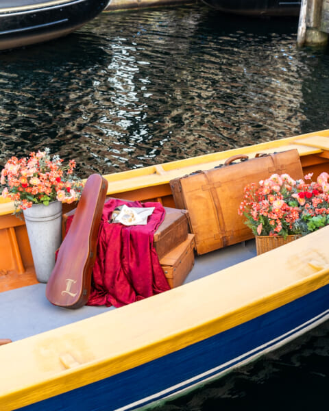 楽器、マスク、トランク