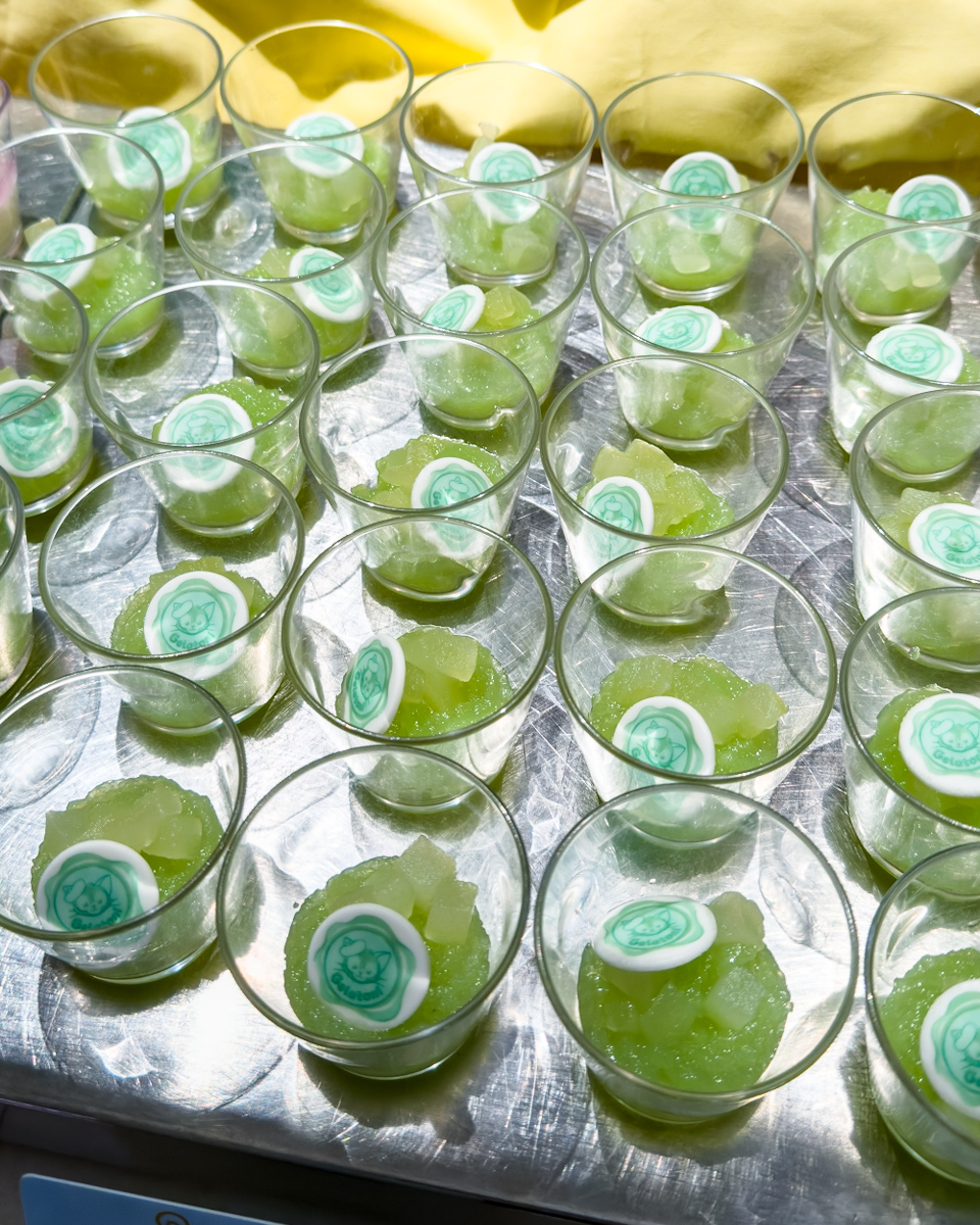 青リンゴゼリー　ジェラトーニ