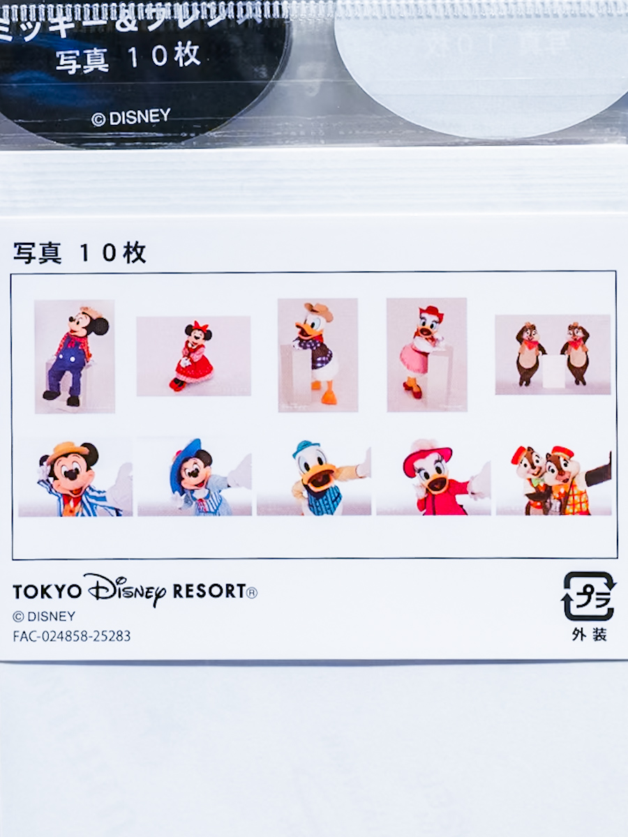 東京ディズニーランド「ミッキー&フレンズ」写真10枚セット内容