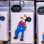 東京ディズニーランド「ミッキー&フレンズ」写真10枚セット