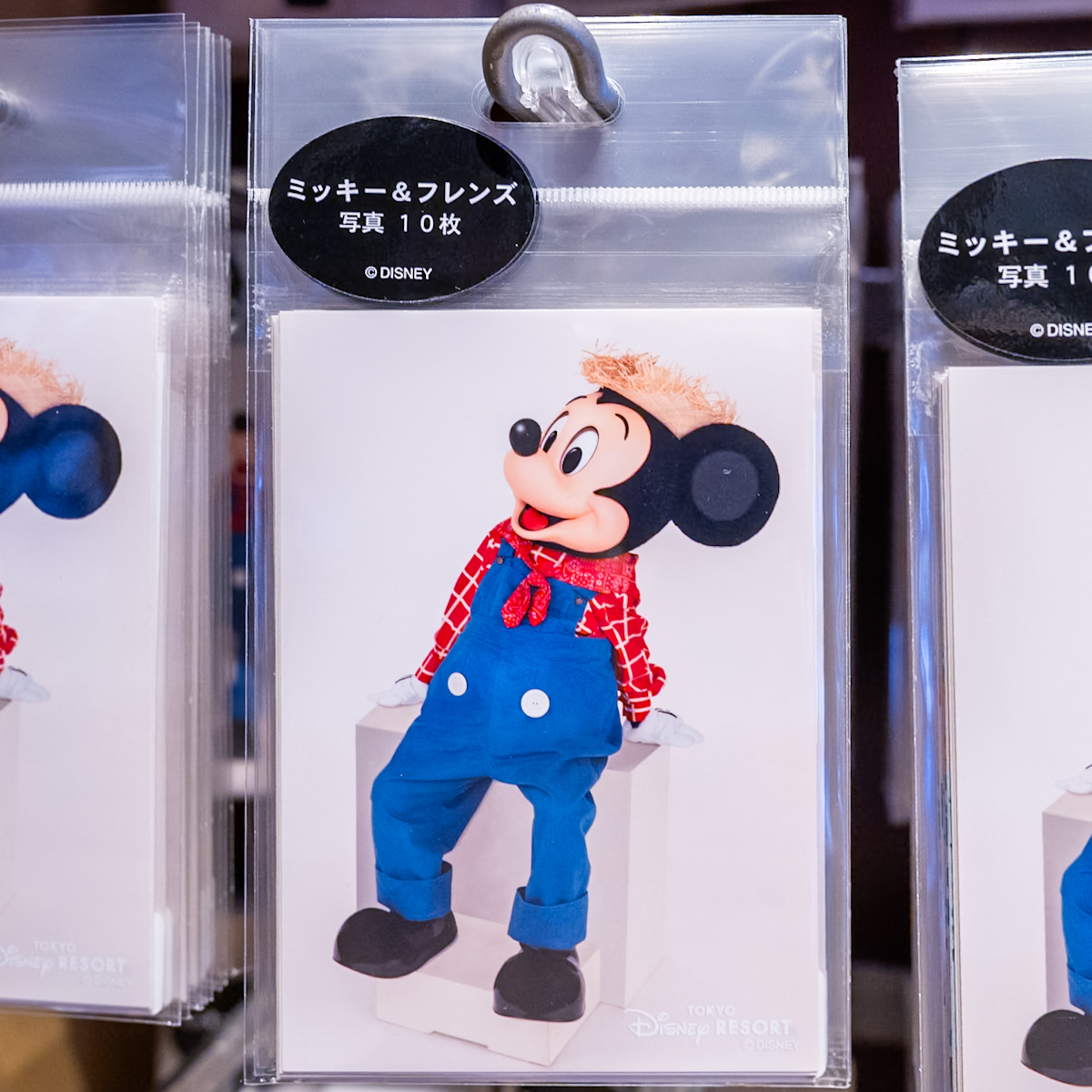 東京ディズニーランド「ミッキー&フレンズ」写真10枚セット