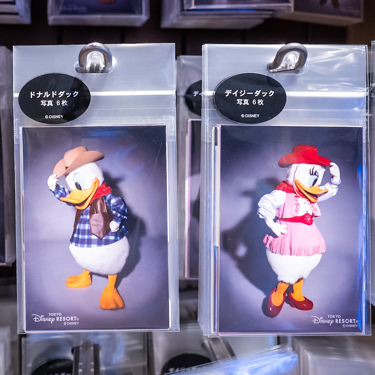 東京ディズニーランド「ミッキー&フレンズ」写真6枚セット