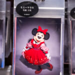 ミニー写真6枚セット