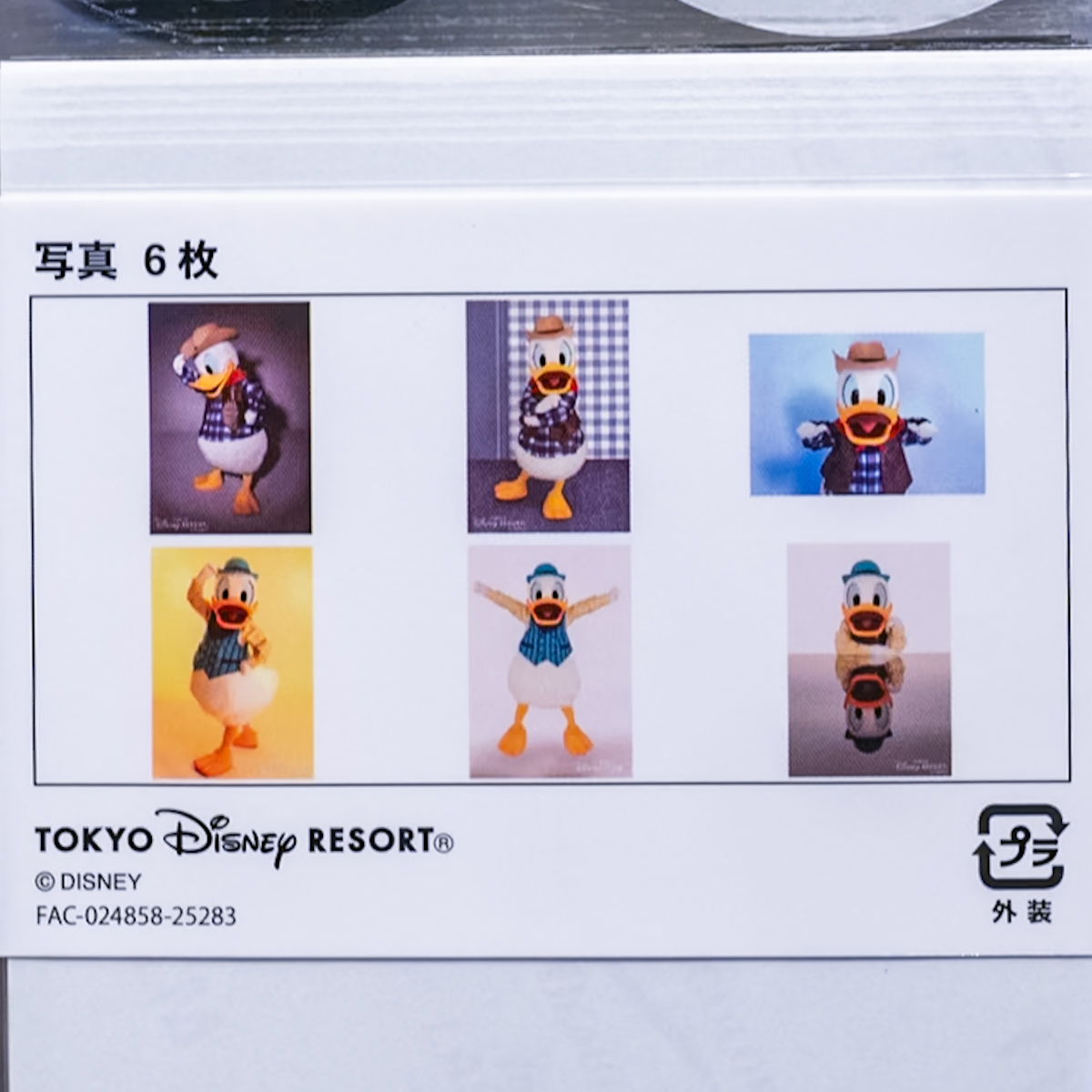 ドナルド写真6枚セット1