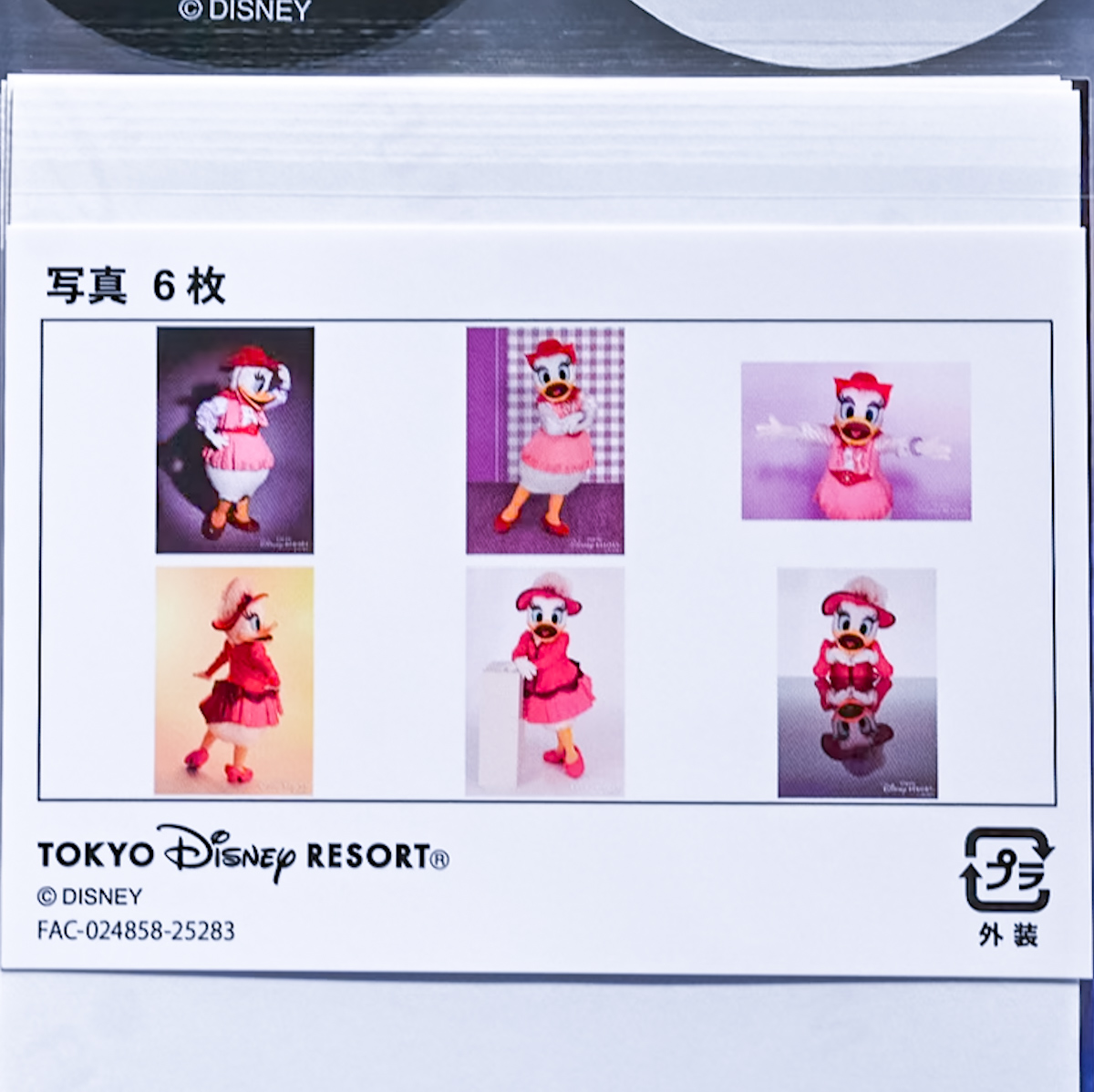 デイジー写真6枚セット1