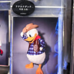 ドナルド写真6枚セット