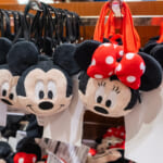 東京ディズニーランド　ミッキー、ミニーポーチ・お土産