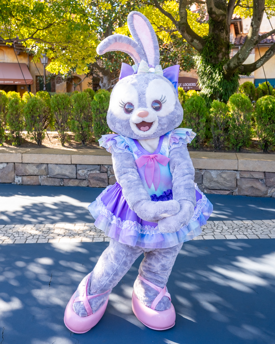 東京ディズニーシー　ダッフィー＆フレンズ20周年：カラフルハピネスコスチュームステラ・ルー