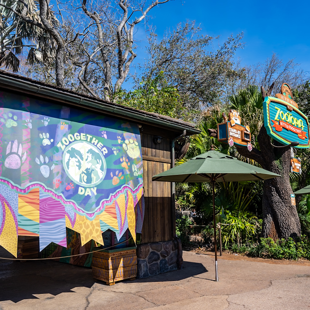 ウォルト・ディズニー・ワールド・リゾート「ズーゲザー・デー・ギャザリング・スポット