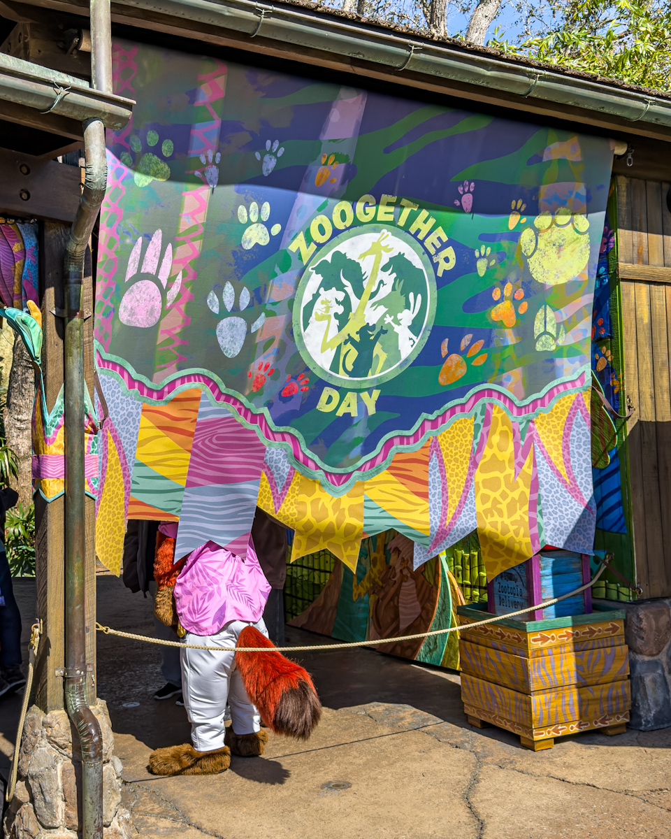 『ズートピア2』衣装のニックとジュディに会える特別なグリーティングスポット!ディズニー・アニマルキングダム「ズーゲザー・デー・ギャザリング・スポット」1